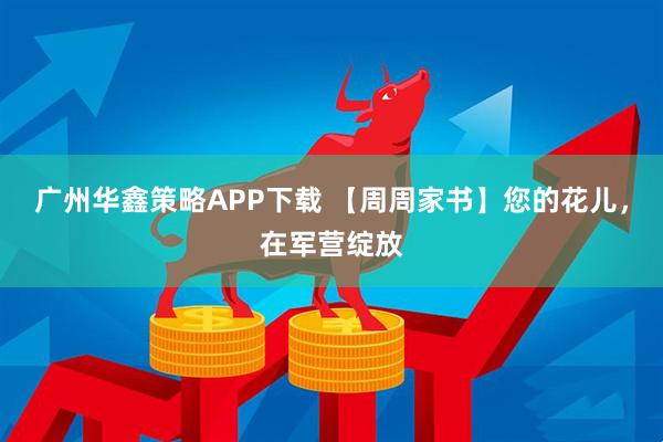 广州华鑫策略APP下载 【周周家书】您的花儿，在军营绽放